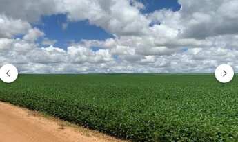 Imagem 2: Fazenda em Primavera do Leste MT