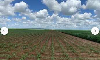 Imagem 3: Fazenda em Primavera do Leste MT