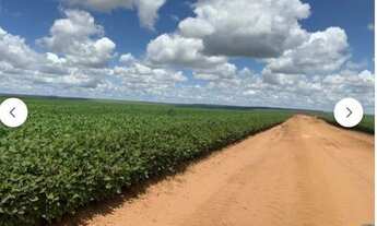 Imagem 4: Fazenda em Primavera do Leste MT