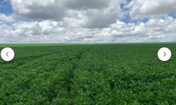 Imagem: Fazenda em Primavera do Leste MT