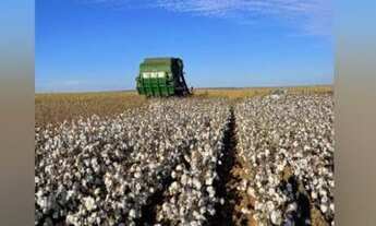 Imagem 7: Fazenda em Primavera do Leste MT