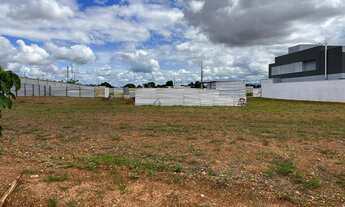 Imagem 2: Florais do parque