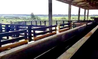 Imagem: Fazenda com 500 Alqueires Nova Bandeirante