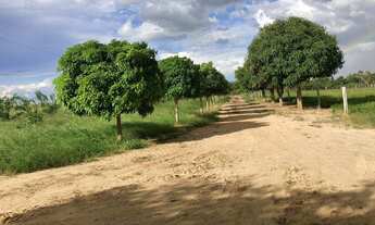 Imagem 3: Chácara próximo a Nobres-MT