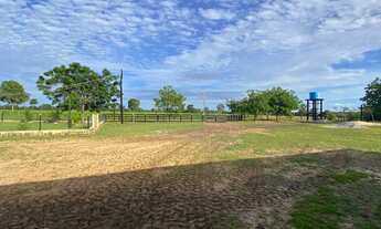 Imagem 3: Fazenda de 750 hectares na região de Cáceres - MT