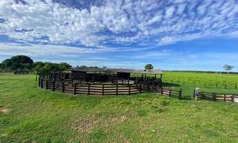 Imagem 4: Fazenda de 750 hectares na região de Cáceres - MT