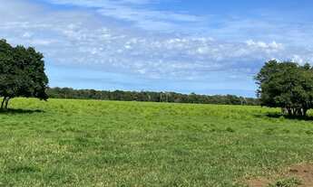 Imagem 5: Fazenda de 750 hectares na região de Cáceres - MT