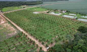 Imagem: Chácara de lazer em Sorriso - MT