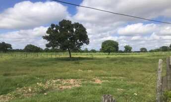 Imagem 3: Fazenda com 96 hectares em Nossa Senhora do Livramento/MT