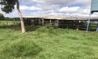 Imagem 5: Fazenda com 96 hectares em Nossa Senhora do Livramento/MT