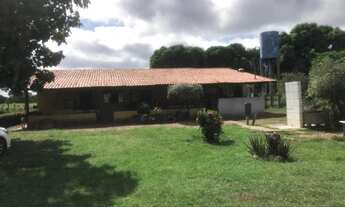 Imagem 6: Fazenda com 96 hectares em Nossa Senhora do Livramento/MT