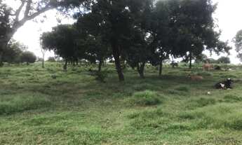 Imagem 7: Fazenda com 96 hectares em Nossa Senhora do Livramento/MT