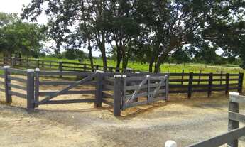 Imagem 2: Fazenda com 200 hectares em Cáceres/MT