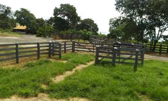 Imagem 5: Fazenda com 200 hectares em Cáceres/MT