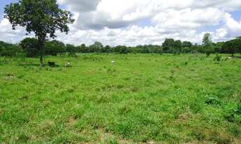 Imagem 6: Fazenda com 200 hectares em Cáceres/MT