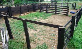 Imagem 7: Fazenda com 200 hectares em Cáceres/MT
