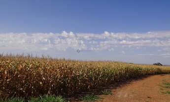 Imagem 3: Fazenda com 978 hectares em Chapada dos Guimarães/MT
