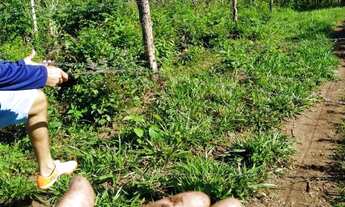 Imagem 2: Chácara em Acorizal/MT