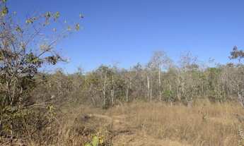 Imagem 6: Fazenda com 100 hectares em Cuiabá/MT