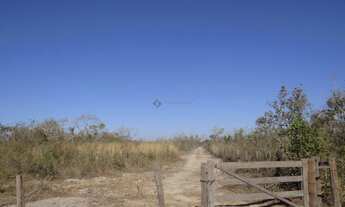 Imagem 7: Fazenda com 100 hectares em Cuiabá/MT