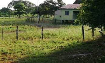 Imagem 1: Fazenda com 409 hectares em Poconé/MT