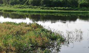 Imagem 5: Fazenda com 409 hectares em Poconé/MT