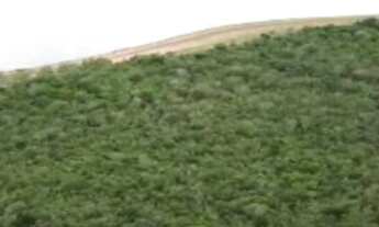 Imagem 4: Condomínio Portal do Manso Vila Náutica