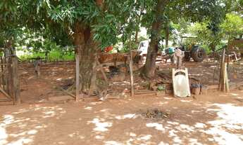 Imagem 3: Fazenda na Rodovia MT/ 130, com 760 hectares, localizada á 30 Km de Poxoréu/MT