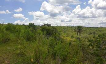 Imagem 4: Fazenda na Rodovia MT/ 130, com 760 hectares, localizada á 30 Km de Poxoréu/MT