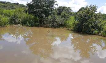 Imagem 5: Fazenda na Rodovia MT/ 130, com 760 hectares, localizada á 30 Km de Poxoréu/MT