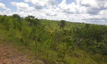 Imagem 7: Fazenda na Rodovia MT/ 130, com 760 hectares, localizada á 30 Km de Poxoréu/MT