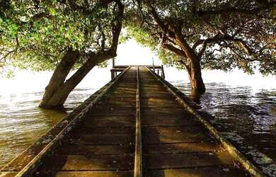 Imagem 3: Chácara em Barão de Melgaço/MT