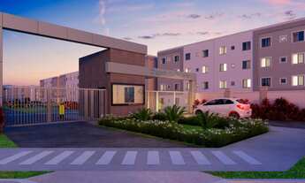 Imagem 2: Chapada dos Pinheiros