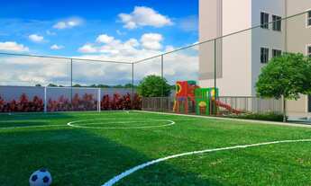 Imagem 6: Chapada dos Pinheiros