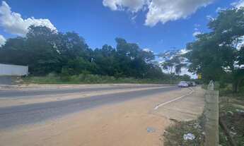 Imagem 1: Área a venda no bairro Cophema