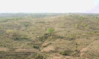 Imagem 7: Fazenda com 405 hectares em Chapada dos Guimarães/MT