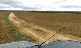 Imagem 5: Fazenda com 860 hectares em Nobres/MT