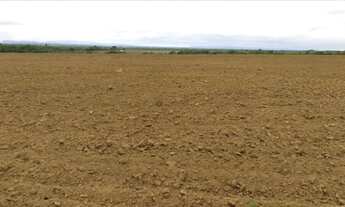 Imagem 7: Fazenda com 860 hectares em Nobres/MT