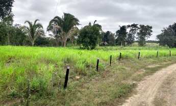 Imagem: Fazenda com 200 hectares em Nossa Senhora