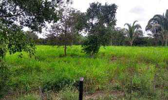 Imagem 2: Fazenda com 200 hectares em Nossa Senhora do Livramento/MT