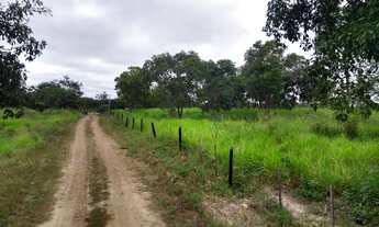 Imagem 5: Fazenda com 200 hectares em Nossa Senhora do Livramento/MT