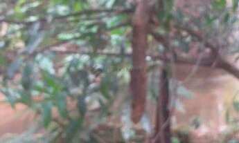 Imagem 3: Chácara em Chapada dos Guimarães/MT