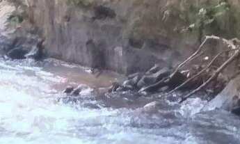 Imagem 6: Chácara em Chapada dos Guimarães/MT