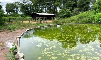 Imagem 1: Fazenda com 750 hectares à 120 Km de Cuiabá sentido Cáceres-MT