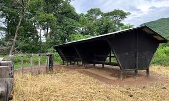 Imagem 3: Fazenda com 750 hectares à 120 Km de Cuiabá sentido Cáceres-MT