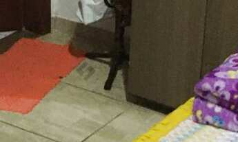 Imagem 5: Kitnets no Bairro Cristo Rei/ VG