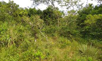 Imagem 3: Fazenda com 336 hectares em Chapada dos Guimarães/MT