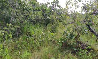 Imagem 4: Fazenda com 336 hectares em Chapada dos Guimarães/MT
