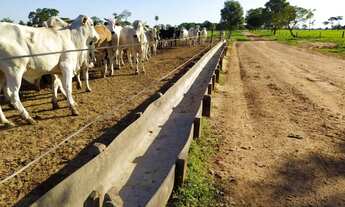 Imagem 4: Fazenda com 4100 hectares em Porto Estrela - MT