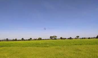 Imagem 6: Fazenda com 4100 hectares em Porto Estrela - MT